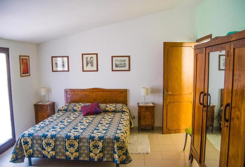 Номер Стандарт, B&b Cactus