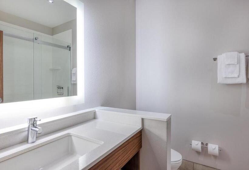 Люкс Кровать Кинг, Holiday Inn Express Troy, An Ihg