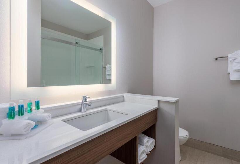 Номер Стандарт Кровать Кинг Адаптированный для Инвалидов, Holiday Inn Express Troy, An Ihg