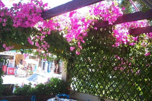 اتاق استاندارد, Hostel Stylianos Kissamos
