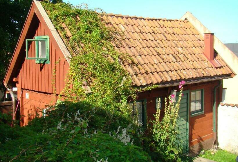Дом 1 Спальня, Visby Logi & Vandrarhem