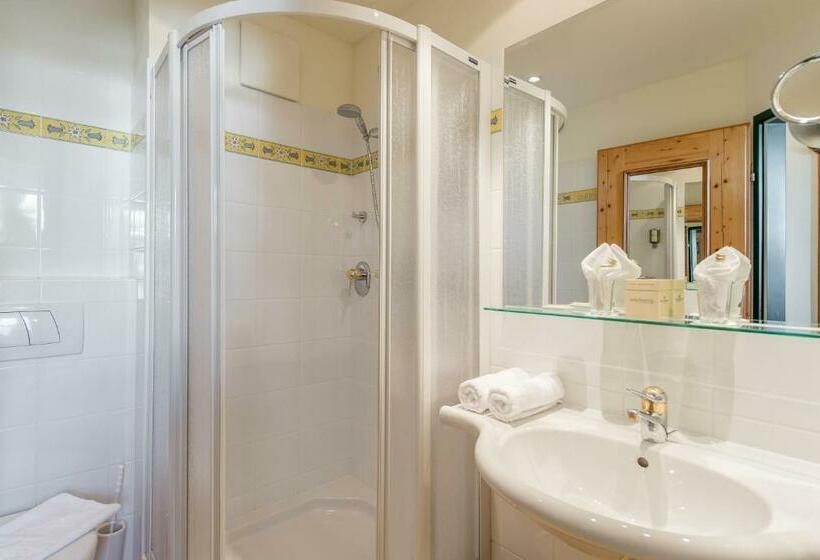 스탠다드 룸, Superior Hotel Edelweiss