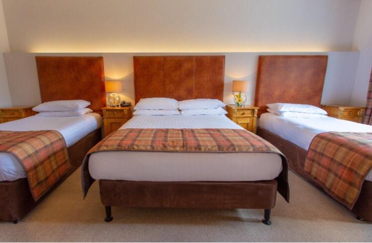 Номер Стандарт Трехместный, Lydons Lodge