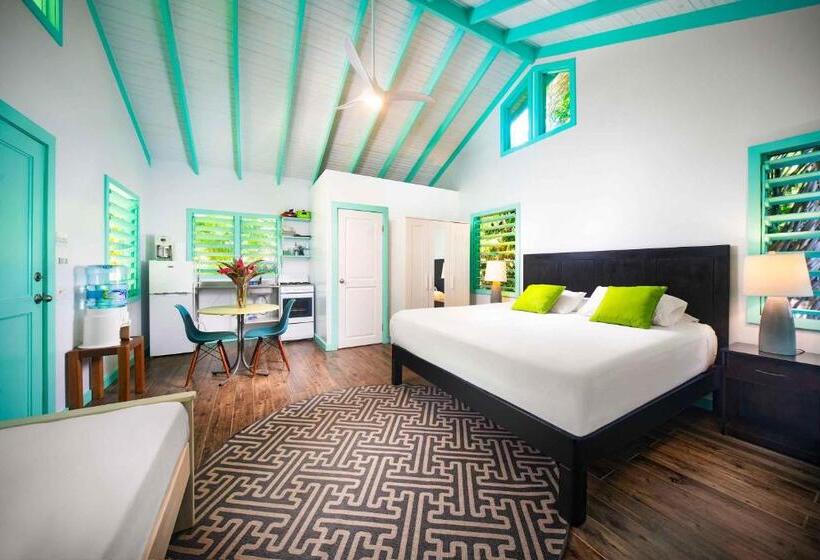 Habitación Estándar, Puerta Azul