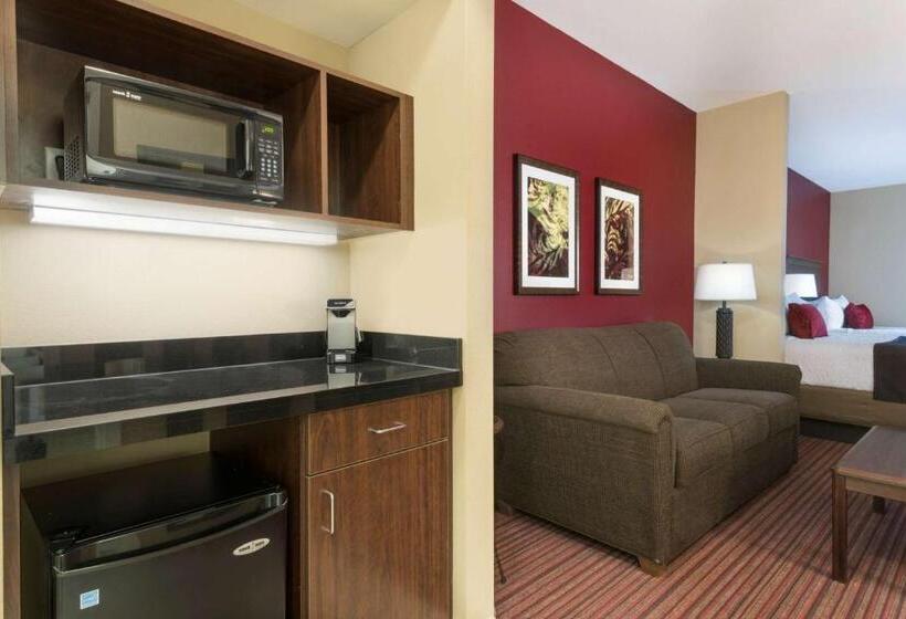 디럭스 스위트, Best Western Plus Hudson Hotel & Suites