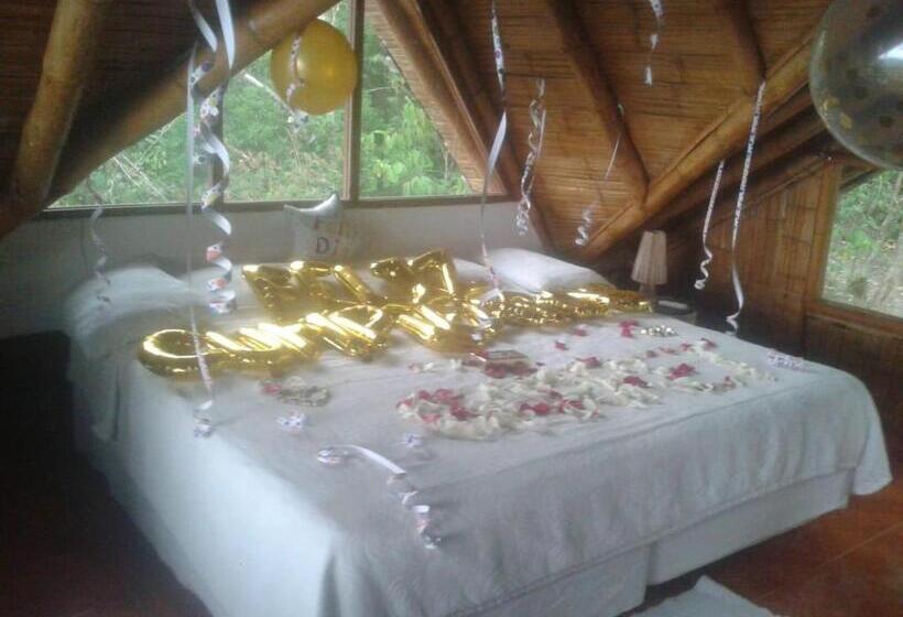 Номер Стандарт Трехместный, Samai Lodge Holistic Living