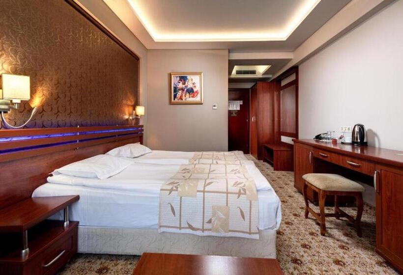 스탠다드 룸, National Palace Wine & Spa