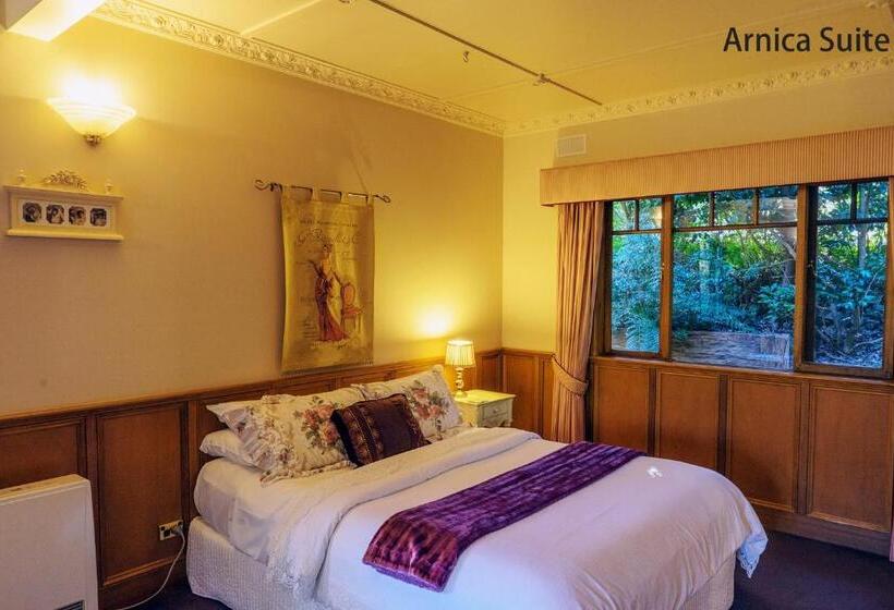 Люкс, Arnica Views Summit Retreat