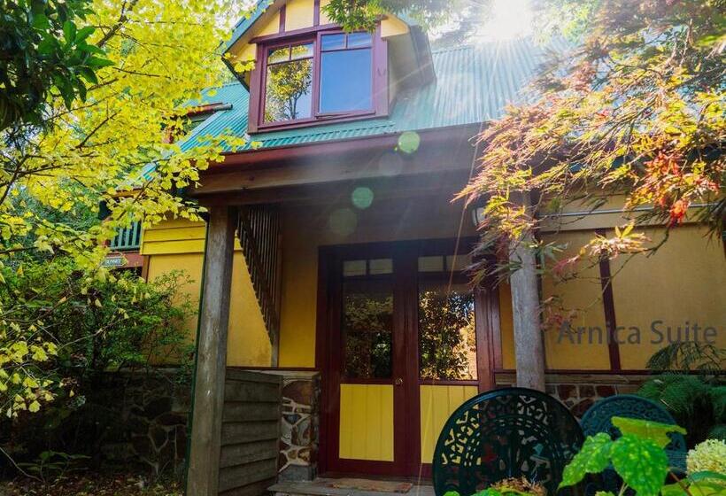 Люкс, Arnica Views Summit Retreat
