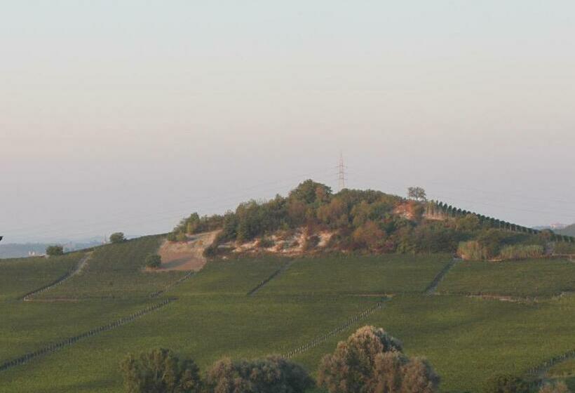 غرفة قياسية, Villa Vecchio