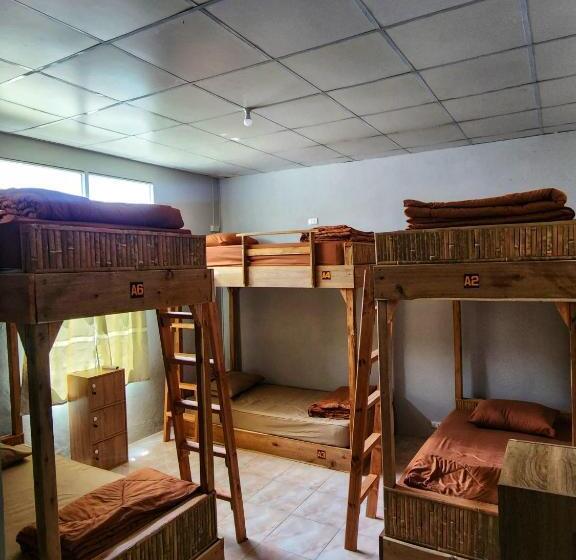Кровать в Общей Комнате, Seven Nine Hostel   Calm Place To Sleep