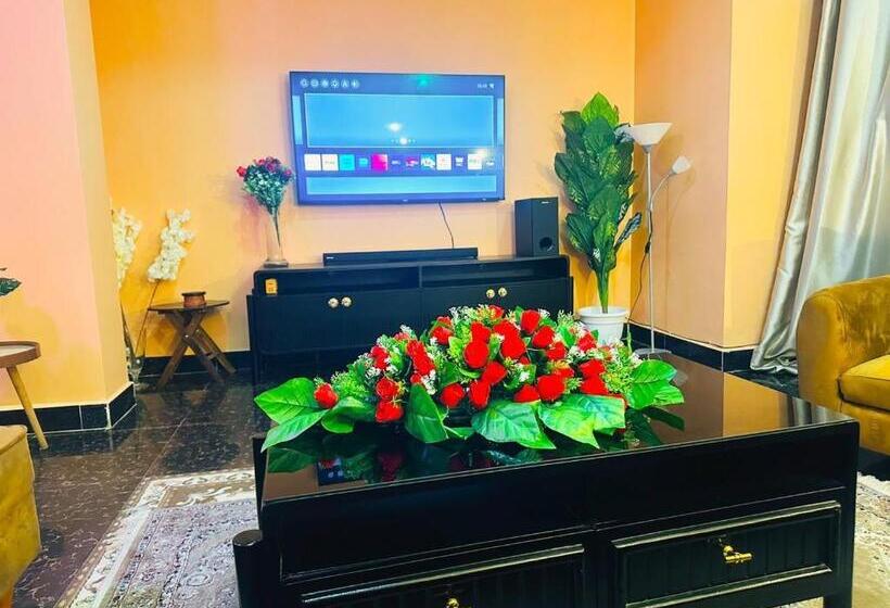 اتاق اکونومی, The Central Heartbeat Haven Intercity