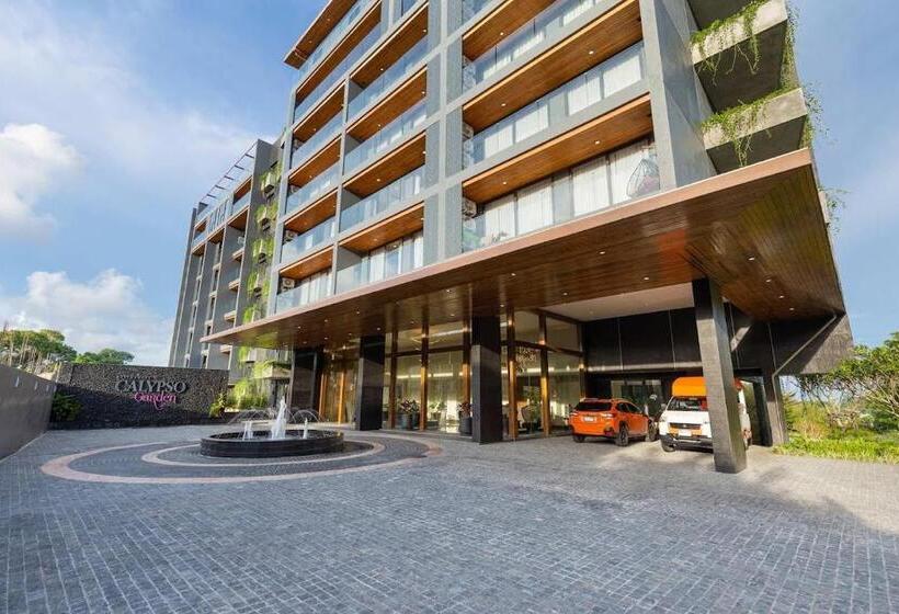 Апартаменты 1 Спальня с Террасой, Appartements Avec Piscine