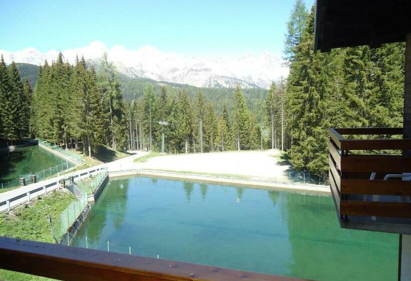 Номер Стандарт Индивидуальный, Pensione Dolomiti