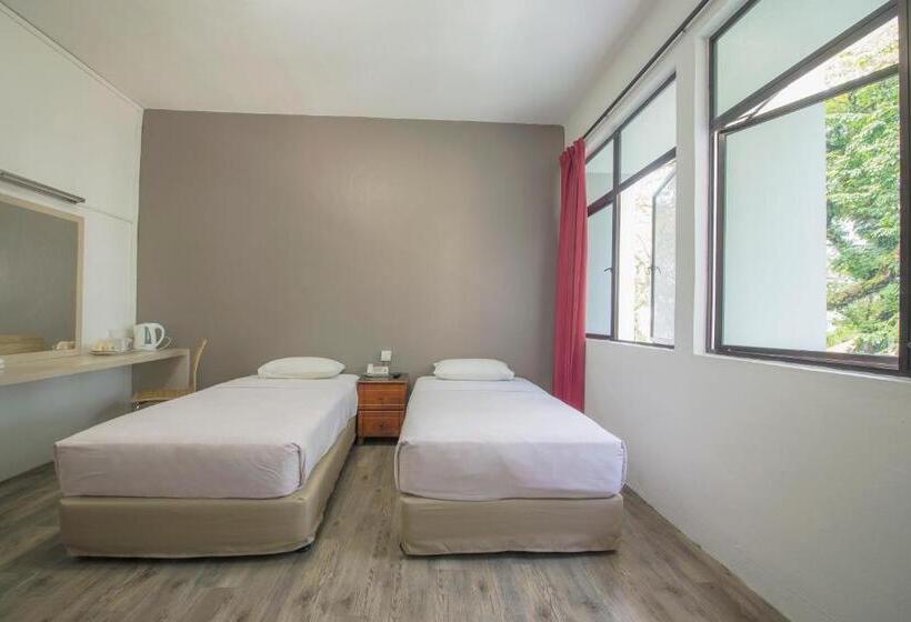 اتاق لوکس, Ymca International Hostel