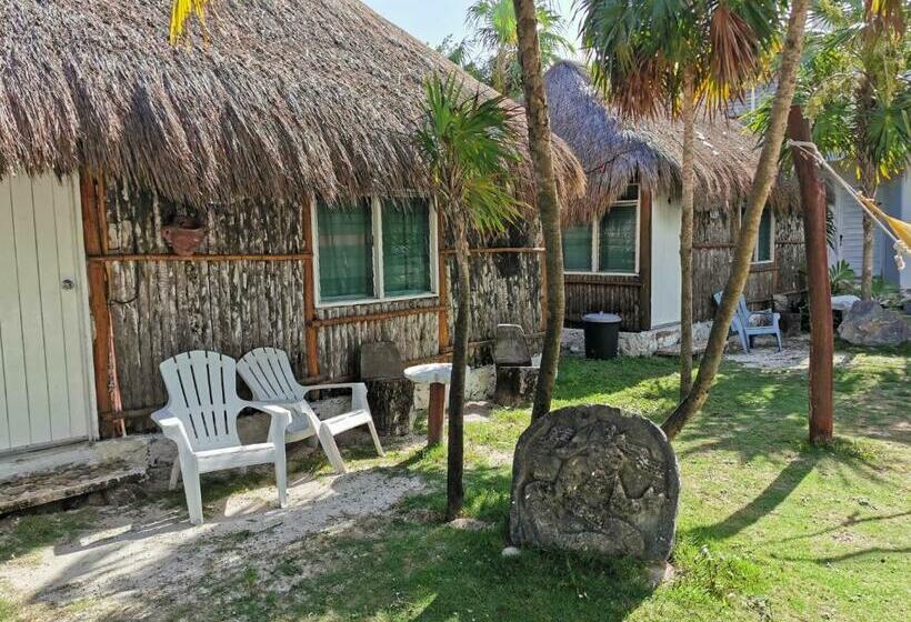 スタンダードバンガロー, Las Cabañas Del Doctor