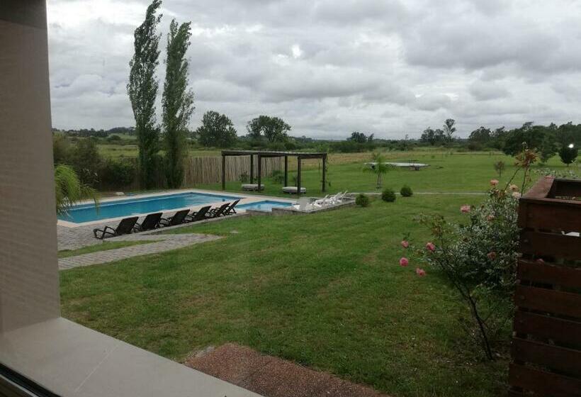 اتاق سوپریور, Juana De Ibarbourou