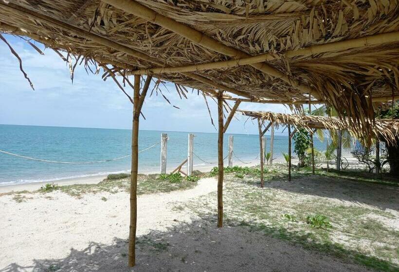 Номер Стандарт, Togo B&b Farallon