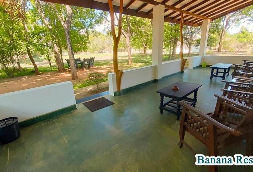 Номер Economy, Banana Rest Sigiriya