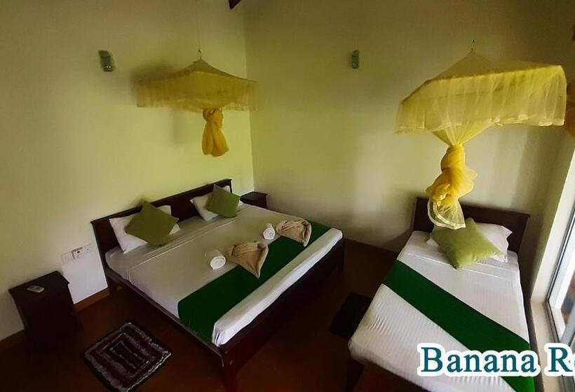 标准三人间, Banana Rest Sigiriya