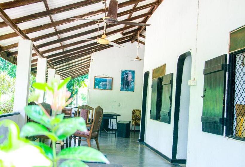 Номер Economy, Banana Rest Sigiriya