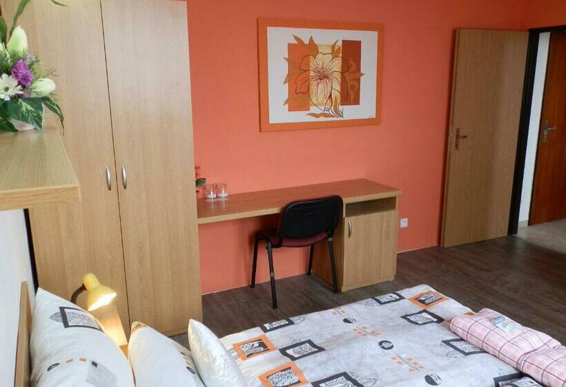 Номер Стандарт, Gól Prostějov