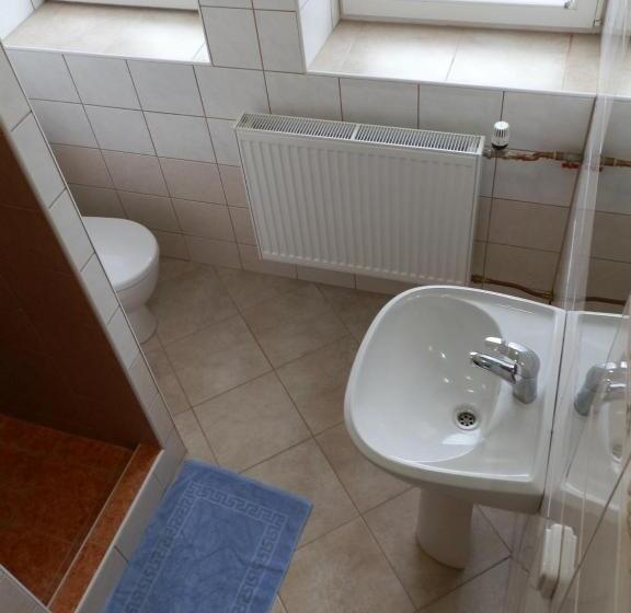 Номер Стандарт, Gól Prostějov