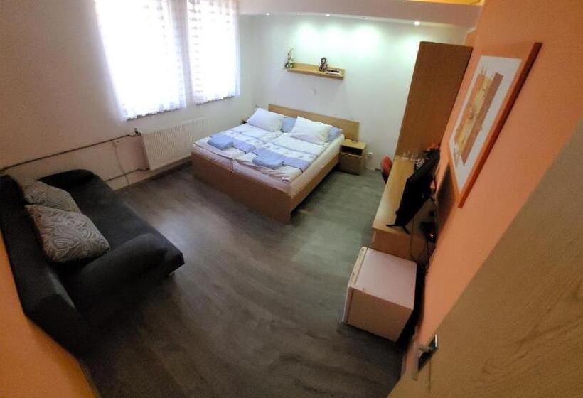 Номер Стандарт, Gól Prostějov
