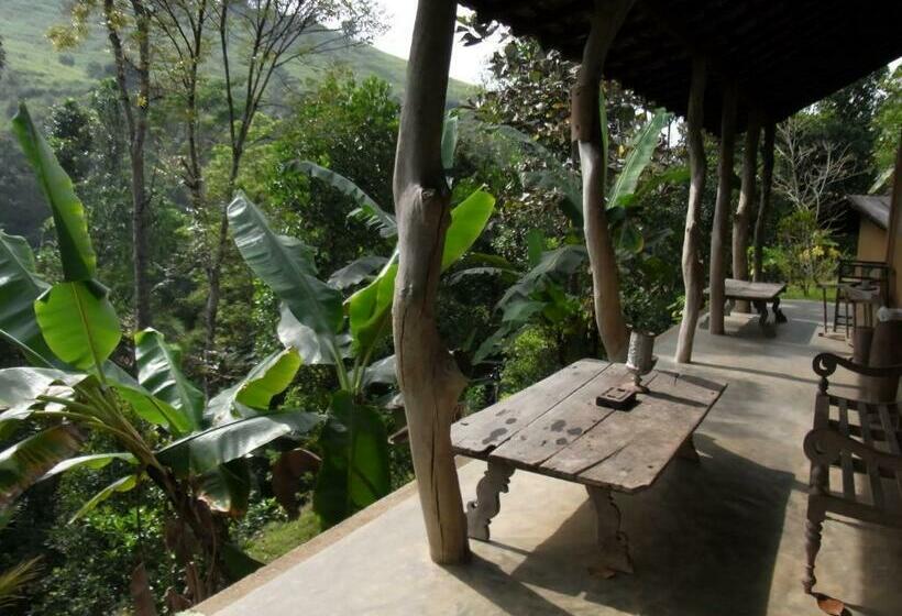Номер Стандарт, The Kandy Samadhicentre