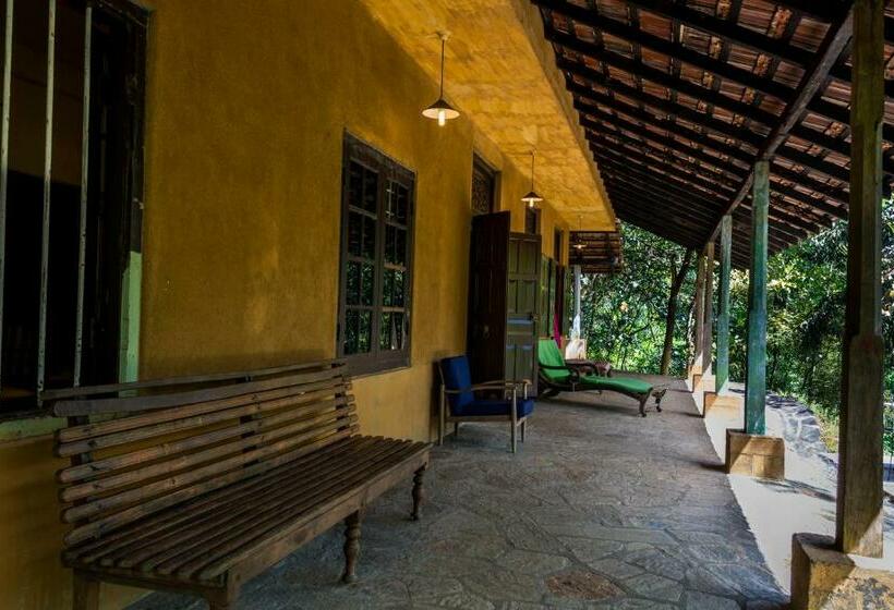 Номер Стандарт, The Kandy Samadhicentre