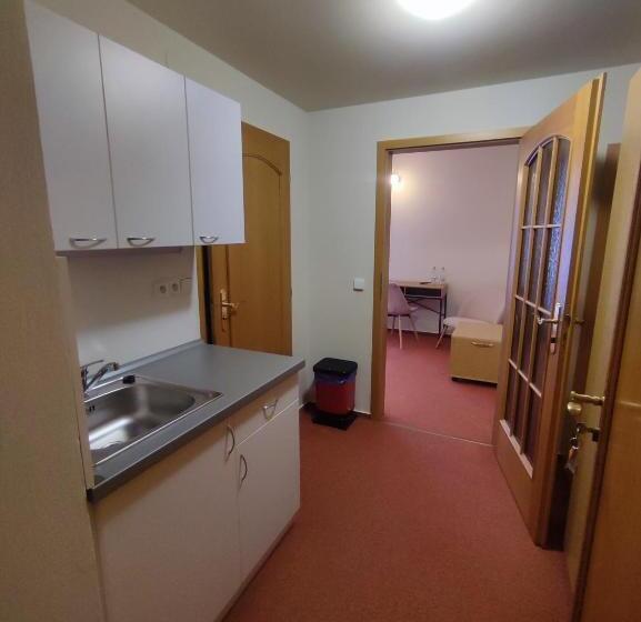 适合残疾人使用的标准间, Brixen