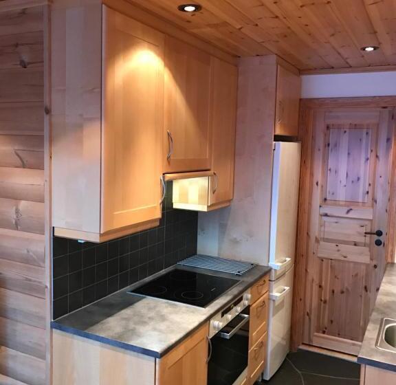 Апартаменты 1 Спальня, Rondane Haukliseter Fjellhotell