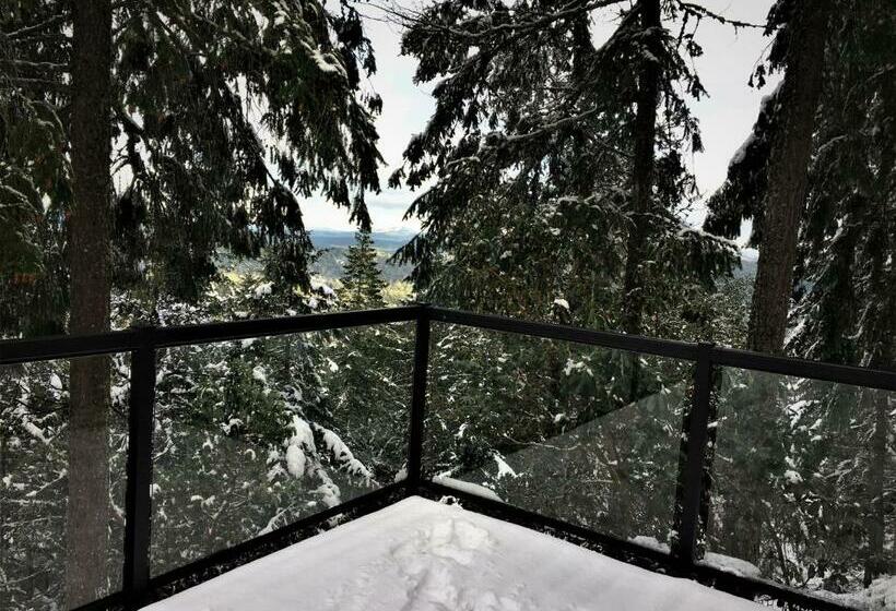 Номер Стандарт, Armand Heights