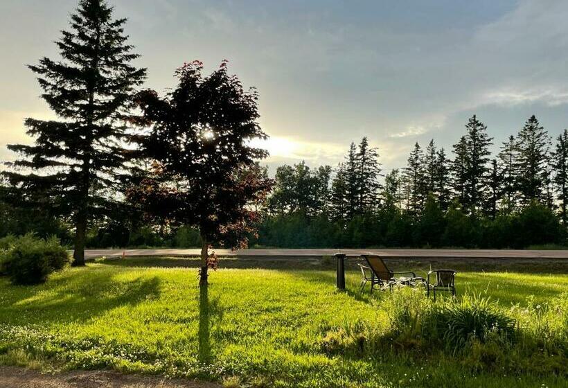 标准间, Scenic Motel Moncton