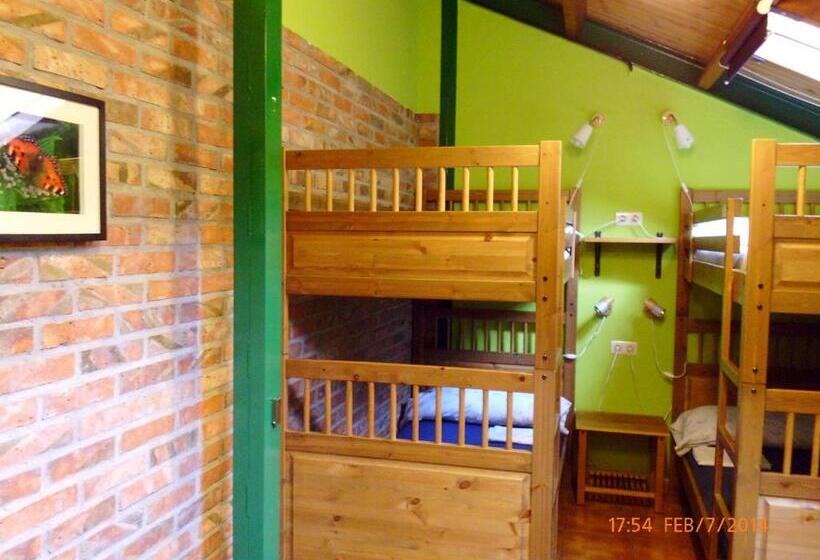 Четырехместный Номер Стандарт, Albergue Peña Castil