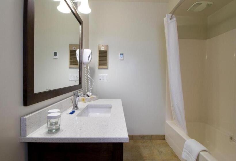 غرفة قياسية سرير كينج, Swiss Chalet Motel