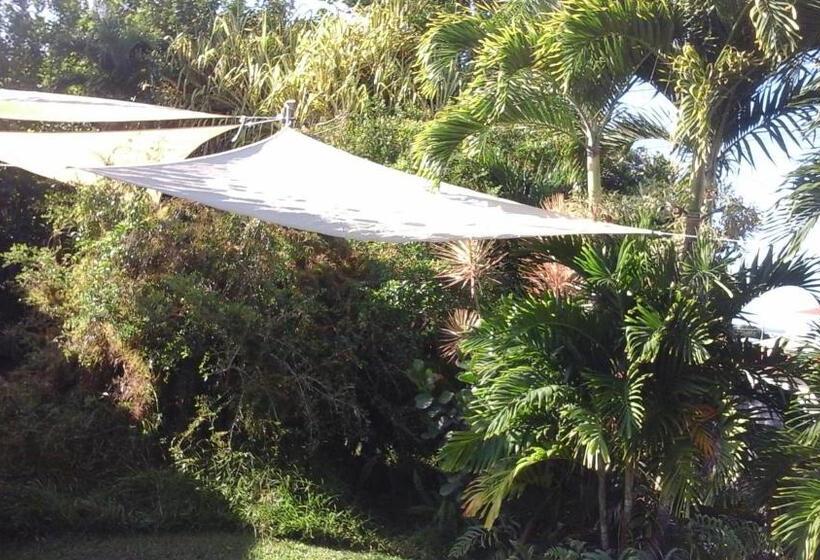 اتاق لوکس, Shaka Shak Guest House