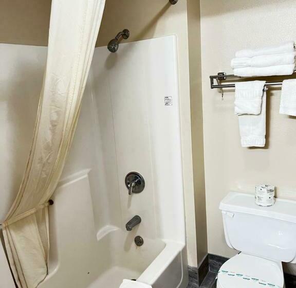 带大床的标准间, Designer Inn And Suites