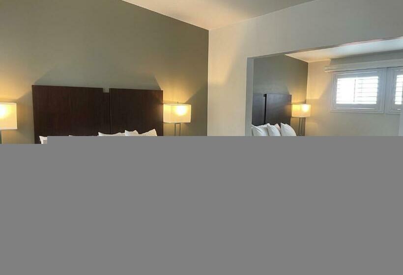 스탠다드 룸, Hi View Inn & Suites