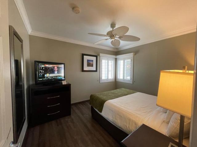 스탠다드 스튜디오, Hi View Inn & Suites