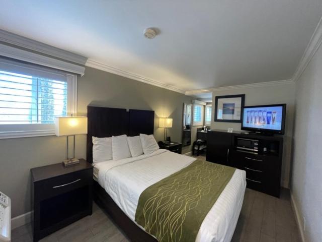 스탠다드 룸, Hi View Inn & Suites