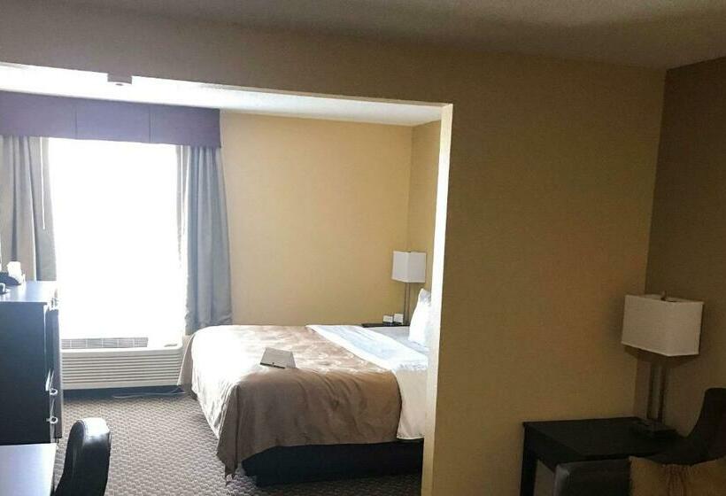 Люкс Кровать Кинг, Quality Inn & Suites Mendota Near I 39