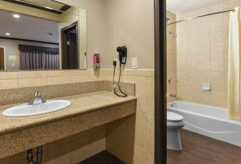 带大床的标准间, Oak Park Motel