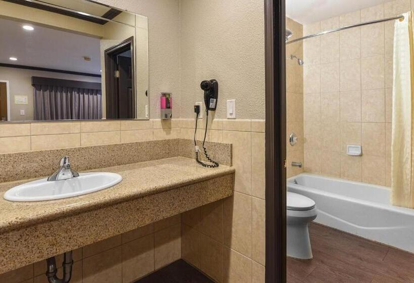 스탠다드 룸, Oak Park Motel