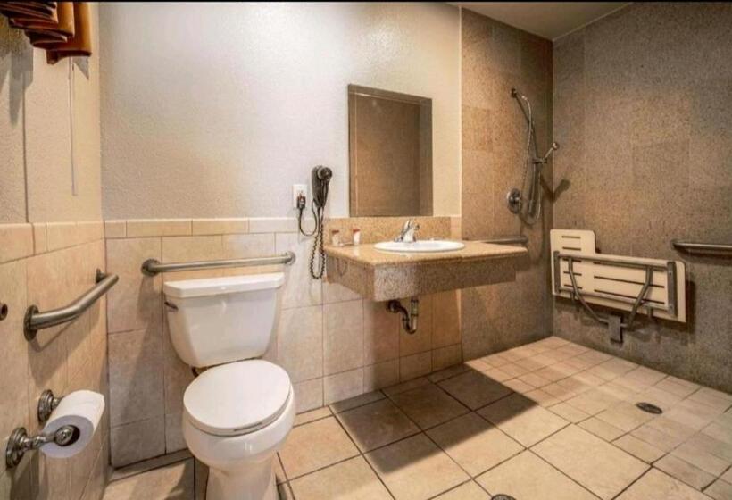 适合残疾人使用的标准间, Oak Park Motel
