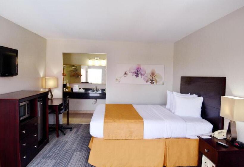 适合残疾人士使用的带超级大床的标准间, Quality Inn & Suites By The Parks