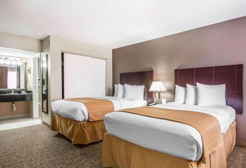 套房, Quality Inn & Suites By The Parks