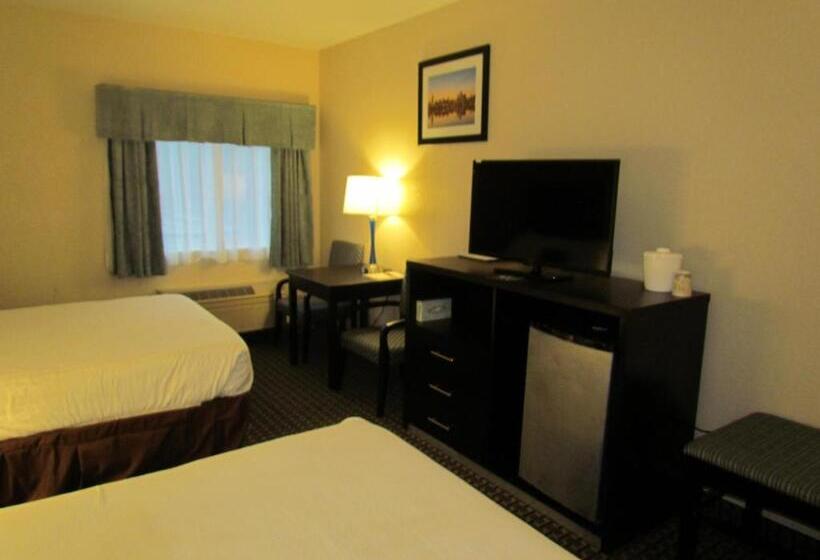 スタンダードルーム, Ramada By Wyndham Glendale Heights/lombard