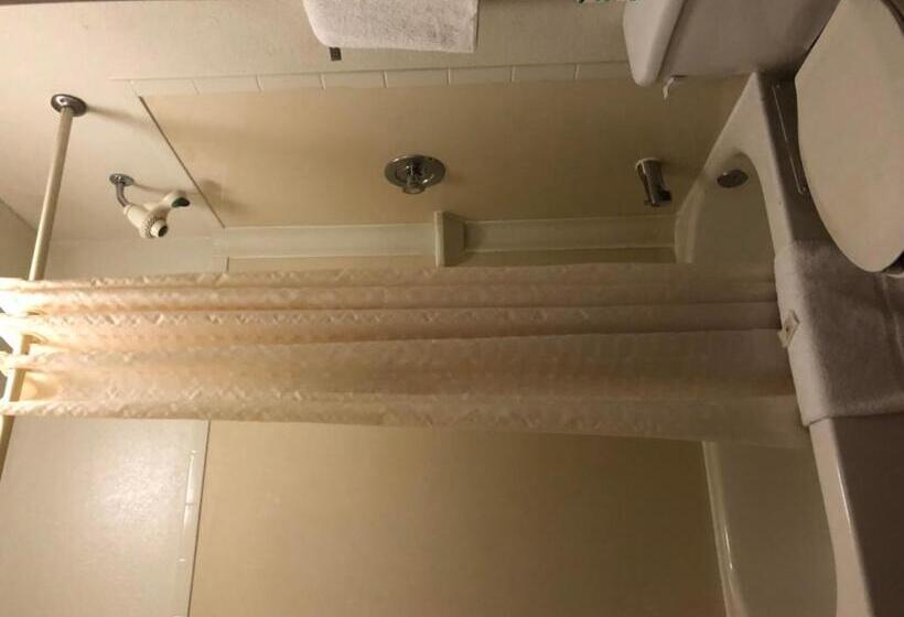 带大床的套房, Lone Star Inn