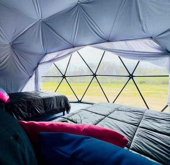 Номер Стандарт, Daydreamer Domes